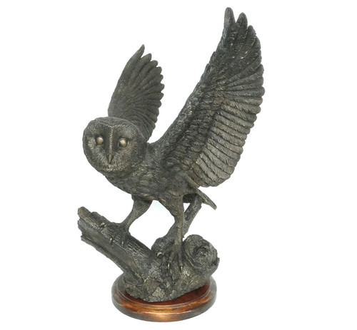 Leonardo rare large barn owl - leonardo,