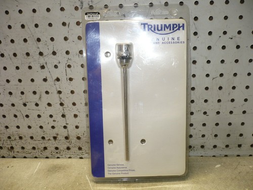 Triumph thunderbird 1600 - triumph, 09