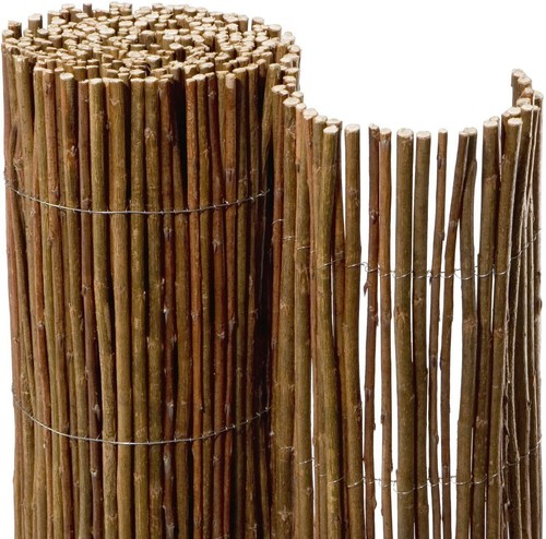 Willow screen reed - willow,