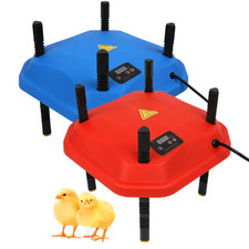 Chicken Poultry Brooder