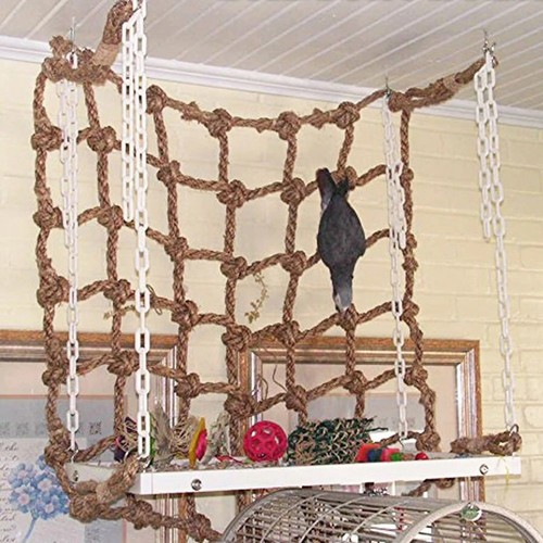 Birds climbing training - climbing,