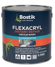 FLEXACRYL 2.5KG INSTANT REPAIR