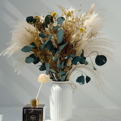 26pcs natural eucalyptu dried - 26pcs,