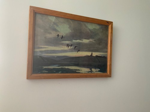 Peter scott print - scott,