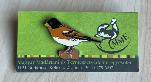 Mme brambling pin badge - mme,