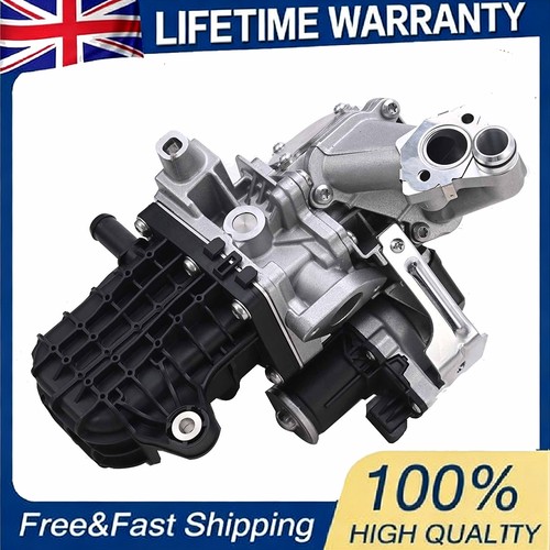 Egr valve cooler - valve, module