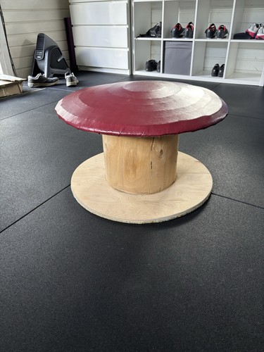 Gymnastics mushroom pommel - gymnastics,