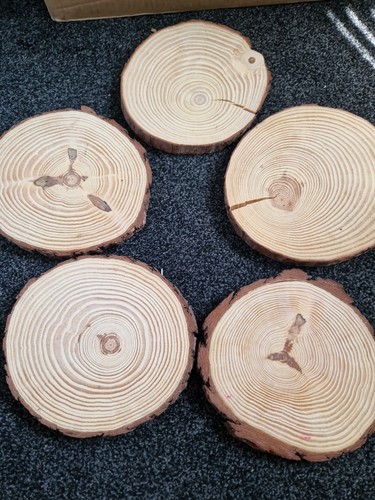Wooden tree trunk slices - wooden,
