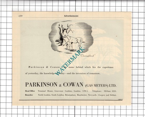 Parkinson cowan gas meters - gas,