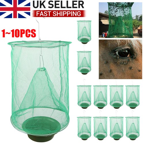 Reusable fly trap ranch - fly,