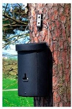 Schwegler 3FS Large Colony Bat