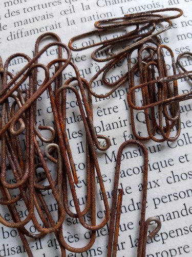 Rusty paper clips two - paper,