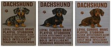 Dachshund Dog Traits Metal