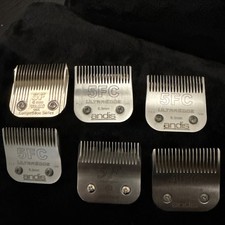 Professional Dog Grooming