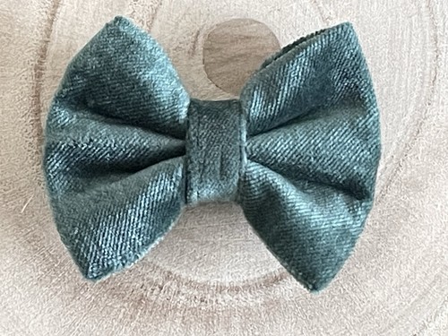 Handmade green velvet dog/pet