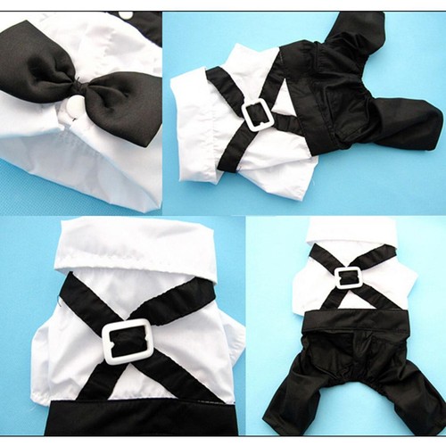 Dog costumes shirt - costumes,, shirt,