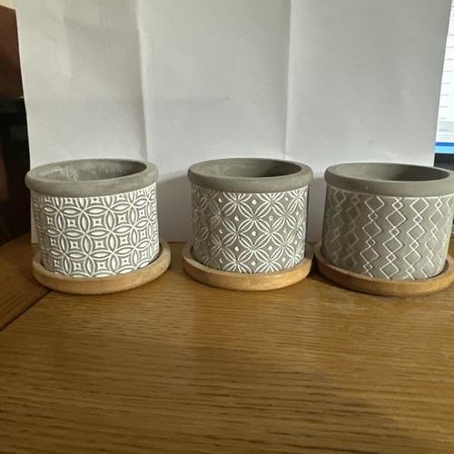 Set cement succulent - 3,