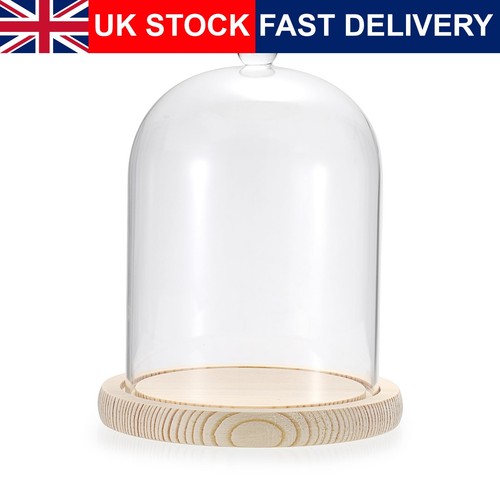 Glass display cloche dome - glass,