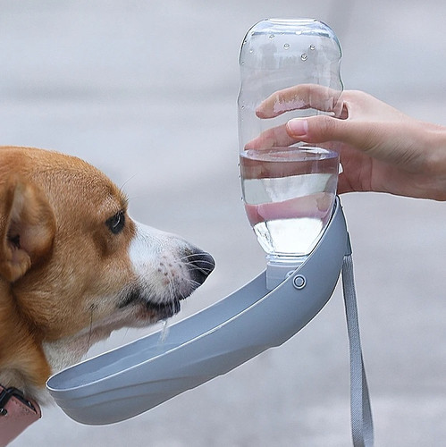 Portable dog water - pc,