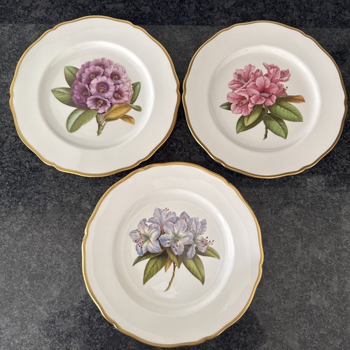 Spode rhododendrons 26 5cm - rhododendrons, ,