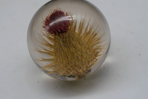 Vintage lucite paperweight - ,