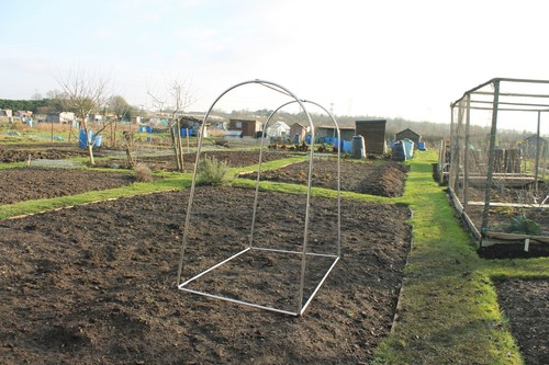 Small fruit vegetable cages - small, or