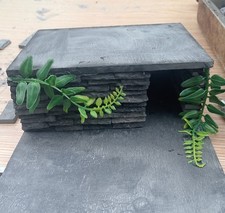 Small Gecko Lizard Fish Snake