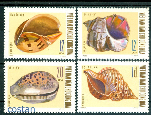 1970 shells sea - 1970, snails,sea