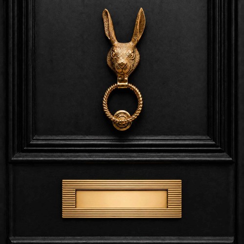 Polished brass hare door - brass,