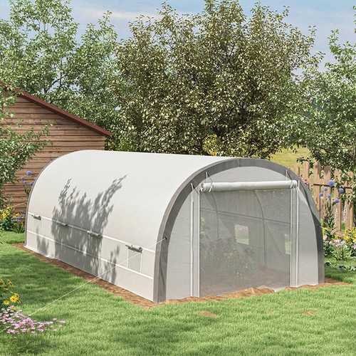Large walk polytunnel - large, in