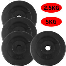 Weight Plates 1 inch Vinyl