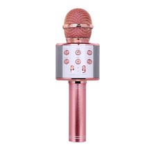 Wireless Bluetooth Karaoke