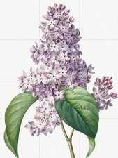 Tile Mural/Mosaic Ceramic