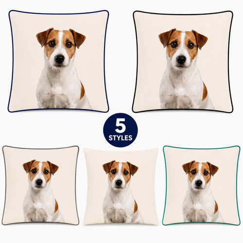 Jack russell terrier - russell, cushion