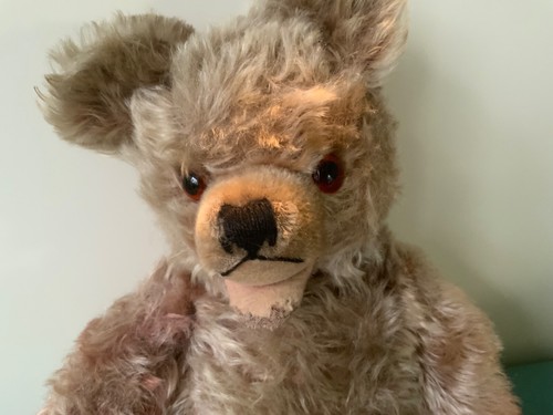 Antique vintage steiff hermann - antique,