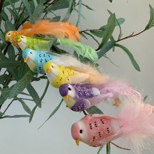 6 x Multi Coloured Bird Clip