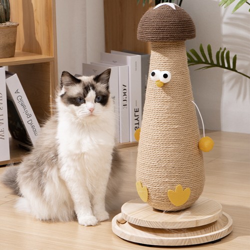 Tall large cat - tall,