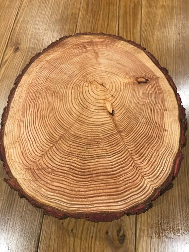 Two rustic log - , slice