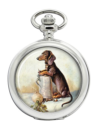 Miniature dachshund pocket - dachshund,