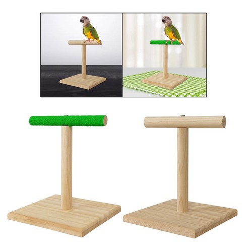 Parrot stand bird perch - parrot,