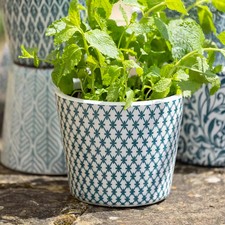 Indoor/Outdoor Glazed