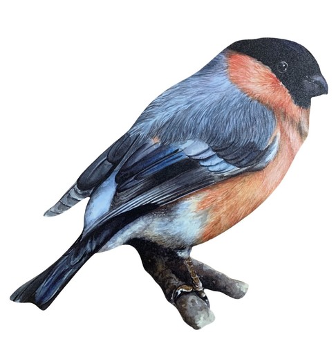 Bullfinch plaque bullfinches - bullfinch,
