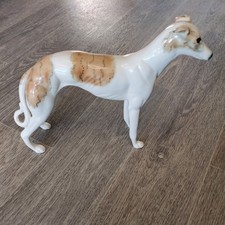 Large Brindle And White