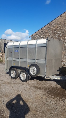 Ifor williams livestock cattle - ifor,