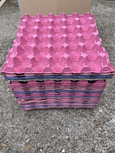 Commercial egg trays - egg, used