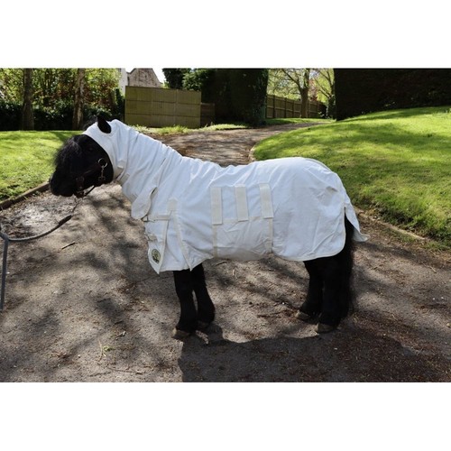Ruggles shetland miniature - -, miniature-