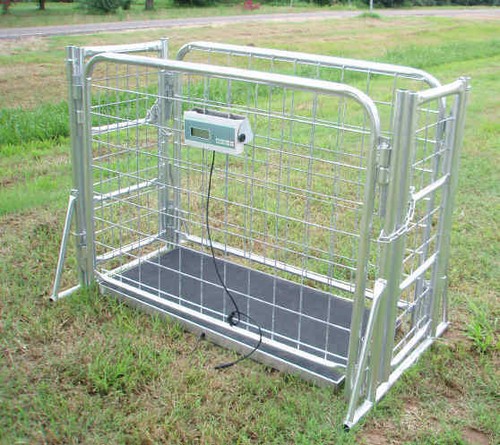 Livestock vet scale veterinary - vet,