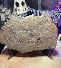 Amazing Piece of Millions of