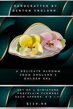 Denton China England – Set