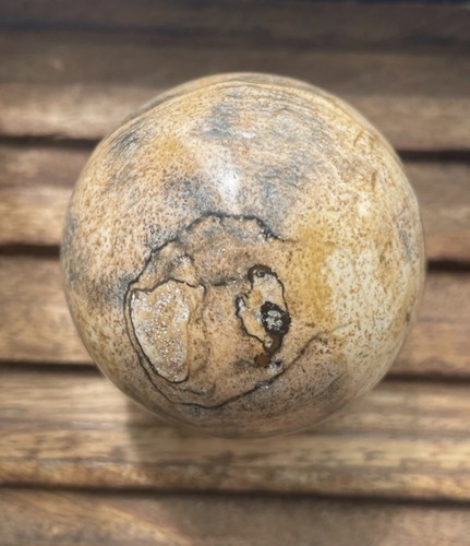 Petrified wood sphere - petrified,